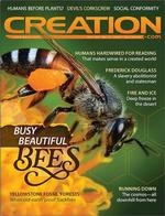 Creation Magazine