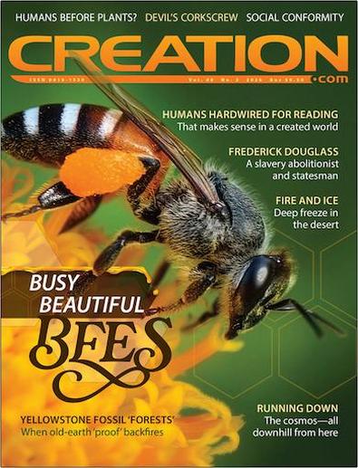 Creation Magazine cover