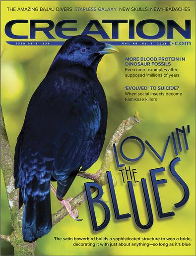 Creation Magazine cover