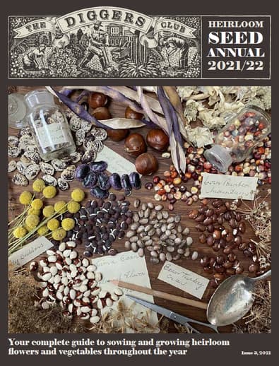 The Diggers Club magazine cover